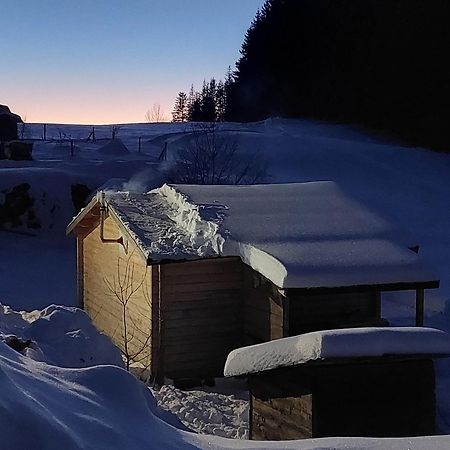 Petit Chalet Nature Les Rousses Exteriör bild